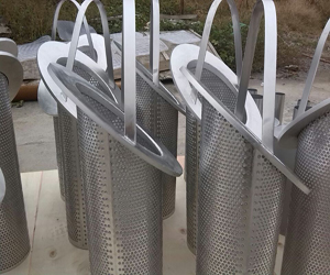 籃式過濾器濾芯